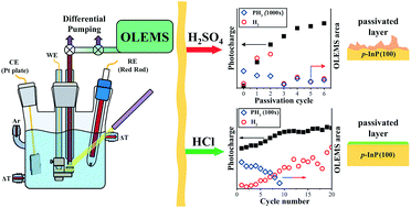 Graphical abstract: On the origin of the photocurrent of electrochemically passivated p-InP(100) photoelectrodes