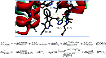 Graphical abstract: Comparing alchemical and physical pathway methods for computing the absolute binding free energy of charged ligands