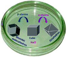 Graphical abstract: Computational predictions turning the isomers of alanine to generate distinct morphs of free-flowing salt crystals