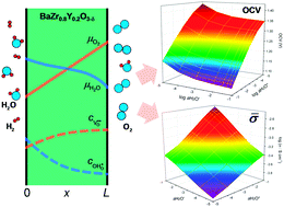 Graphical abstract: Open-cell voltage and electrical conductivity of a protonic ceramic electrolyte under two chemical potential gradients