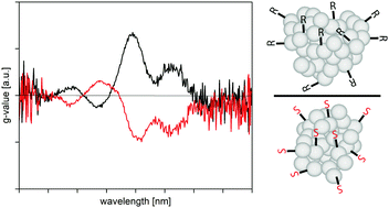 Graphical abstract: Chirality transfer from organic ligands to silver nanostructures via chiral polarisation of the electric field