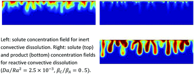 Graphical abstract: Reactive convective-dissolution in a porous medium: stability and nonlinear dynamics