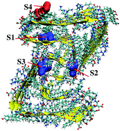 Graphical abstract: Unusual binding-site-specific photophysical properties of a benzothiazole-based optical probe in amyloid beta fibrils