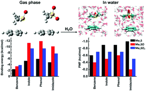 Graphical abstract: Predicting structural and energetic changes in Met–aromatic motifs on methionine oxidation to the sulfoxide and sulfone