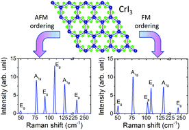 Graphical abstract: Distinct spin–lattice and spin–phonon interactions in monolayer magnetic CrI3