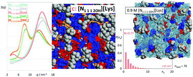 Graphical abstract: Molecular dynamics studies on the structure and interactions of ionic liquids containing amino-acid anions