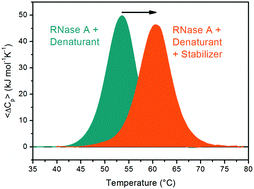 Graphical abstract: Counteraction of denaturant-induced protein unfolding is a general property of stabilizing agents