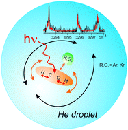 Graphical abstract: Large amplitude motion within acetylene–rare gas complexes hosted in helium droplets