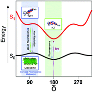 Graphical abstract: Theoretical rationalisation of the photophysics of a TICT excited state of cinnamoyl–coumarin derivatives in homogeneous and biological membrane models