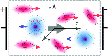 Graphical abstract: Reply to the ‘Comment on “Negative effective Li transference numbers in Li salt/ionic liquid mixtures: does Li drift in the “Wrong” direction?”’ by K. R. Harris, Phys. Chem. Chem. Phys., 2018, 20, DOI: 10.1039/C8CP02595A