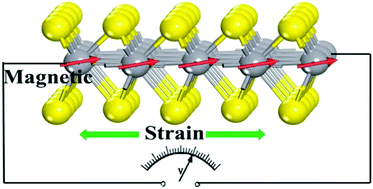 Graphical abstract: Coexistence of piezoelectricity and magnetism in two-dimensional vanadium dichalcogenides