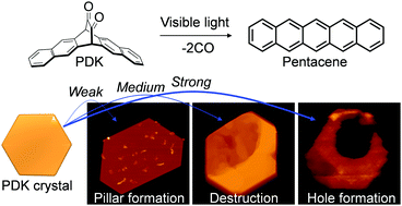 Graphical abstract: Photoconversion of 6,13-α-diketopentacene single crystals exhibiting light intensity-dependent morphological change
