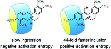 Graphical abstract: Change of the kinetics of inclusion in cucurbit[7]uril upon hydrogenation and methylation of palmatine