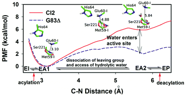 Graphical abstract: Molecular insight into chymotrypsin inhibitor 2 resisting proteolytic degradation