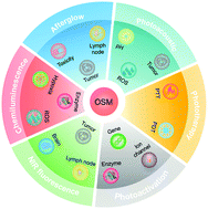 Graphical abstract: Development of organic semiconducting materials for deep-tissue optical imaging, phototherapy and photoactivation