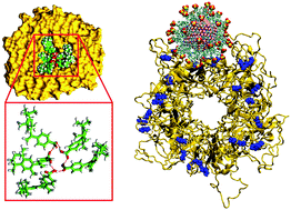 Graphical abstract: Computational studies of micellar and nanoparticle nanomedicines