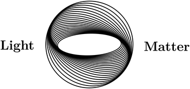 Graphical abstract: Strong light–matter interactions: a new direction within chemistry