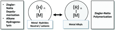 Graphical abstract: Surface organometallic chemistry in heterogeneous catalysis