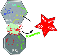Graphical abstract: Click and release: bioorthogonal approaches to “on-demand” activation of prodrugs
