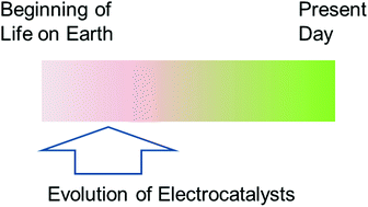 Graphical abstract: The value of enzymes in solar fuels research – efficient electrocatalysts through evolution