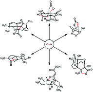 Graphical abstract: Recent applications of C–H functionalization in complex natural product synthesis