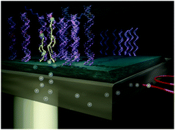 Graphical abstract: Light-addressable electrochemistry at semiconductor electrodes: redox imaging, mask-free lithography and spatially resolved chemical and biological sensing