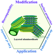 Graphical abstract: Biocompatible functionalisation of nanoclays for improved environmental remediation