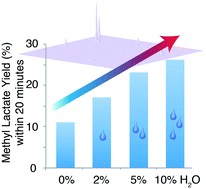 Graphical abstract: Kinetic analysis of hexose conversion to methyl lactate by Sn-Beta: effects of substrate masking and of water