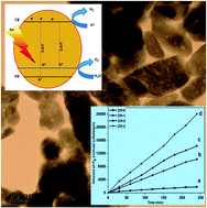 Graphical abstract: Perforated N-doped monoclinic ZnWO4 nanorods for efficient photocatalytic hydrogen generation and RhB degradation under natural sunlight