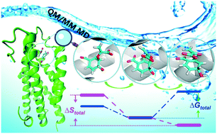 Graphical abstract: Understanding the entropic effect in chorismate mutase reaction catalyzed by isochorismate-pyruvate lyase from Pseudomonas aeruginosa (PchB)