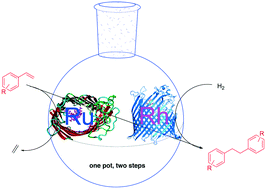 Graphical abstract: Biohybrid catalysts for sequential one-pot reactions based on an engineered transmembrane protein