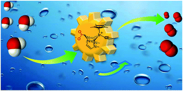 Graphical abstract: Molecular water oxidation catalysis by zwitterionic carboxylate bridge-functionalized bis-NHC iridium complexes