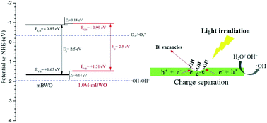 Graphical abstract: Synthesis of Bi-deficient monolayered Bi2WO6 nanosheets with enhanced photocatalytic activity under visible light irradiation