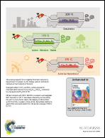Graphical abstract: Inside back cover