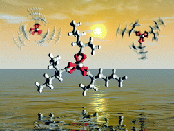 Graphical abstract: A homoleptic chromium(iii) carboxylate