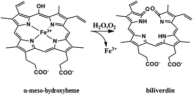 Graphical abstract: A novel mechanism of heme degradation to biliverdin studied by QM/MM and QM calculations