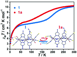 Graphical abstract: Water molecule induced reversible single-crystal-to-single-crystal transformation between two trinuclear Fe(ii) complexes with different spin crossover behaviour