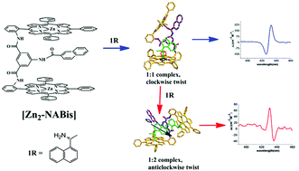 Graphical abstract: Stoichiometrically controlled chirality inversion in zinc bisporphyrinate–monoamine complexes