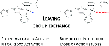 Graphical abstract: N- and S-donor leaving groups in triazole-based ruthena(ii)cycles: potent anticancer activity, selective activation, and mode of action studies