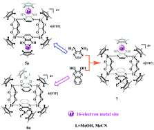 Graphical abstract: Controllable assembly of rectangular macrocycles bearing different numbers of unsaturated sites based on half-sandwich iridium fragments