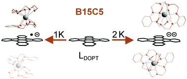 Graphical abstract: Complete charge separation provoked by full cation encapsulation in the radical mono- and di-anions of 5,6:11,12-di-o-phenylene-tetracene