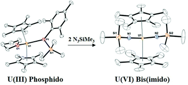 Graphical abstract: Four-electron reduction chemistry using a uranium(iii) phosphido complex