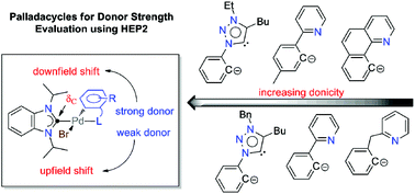 Graphical abstract: A palladacyclic N-heterocyclic carbene system used to probe the donating abilities of monoanionic chelators