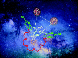 Graphical abstract: Tritopic ion-pair receptors based on anion–π interactions for selective CaX2 binding