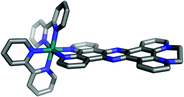 Graphical abstract: Turning intercalators into groove binders: synthesis, photophysics and DNA binding properties of tetracationic mononuclear ruthenium(ii)-based chromophore–quencher complexes