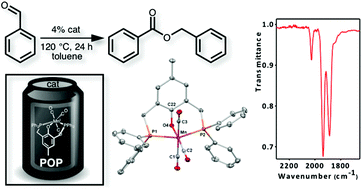 Graphical abstract: Bisphosphine phenol and phenolate complexes of Mn(i): manganese(i) catalyzed Tishchenko reaction