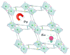 Graphical abstract: Two isostructural Ln-MOFs showing luminescent sensing (Eu) and slow magnetic relaxation (Dy) properties