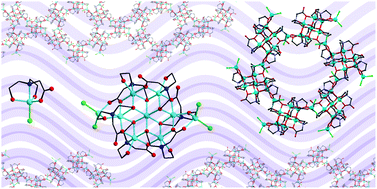 Graphical abstract: Microwave-assisted synthesis: from a mononuclear {CoII} complex to {CoII9} solvomorphs