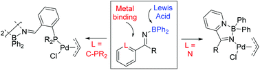 Graphical abstract: Synthesis, structure and palladium coordination of ambiphilic, pyridine- and phosphine-tethered N-boryl imine ligands