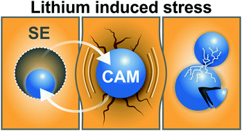 Graphical abstract: Chemo-mechanical expansion of lithium electrode materials – on the route to mechanically optimized all-solid-state batteries